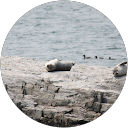 Beca rose profile picture